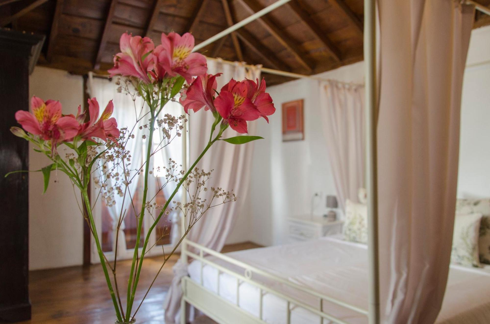 Hotel Rural Casona Santo Domingo Güimar Extérieur photo